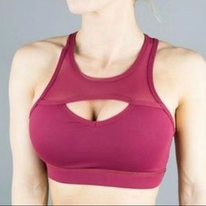 Buffbunny ambrosia bra